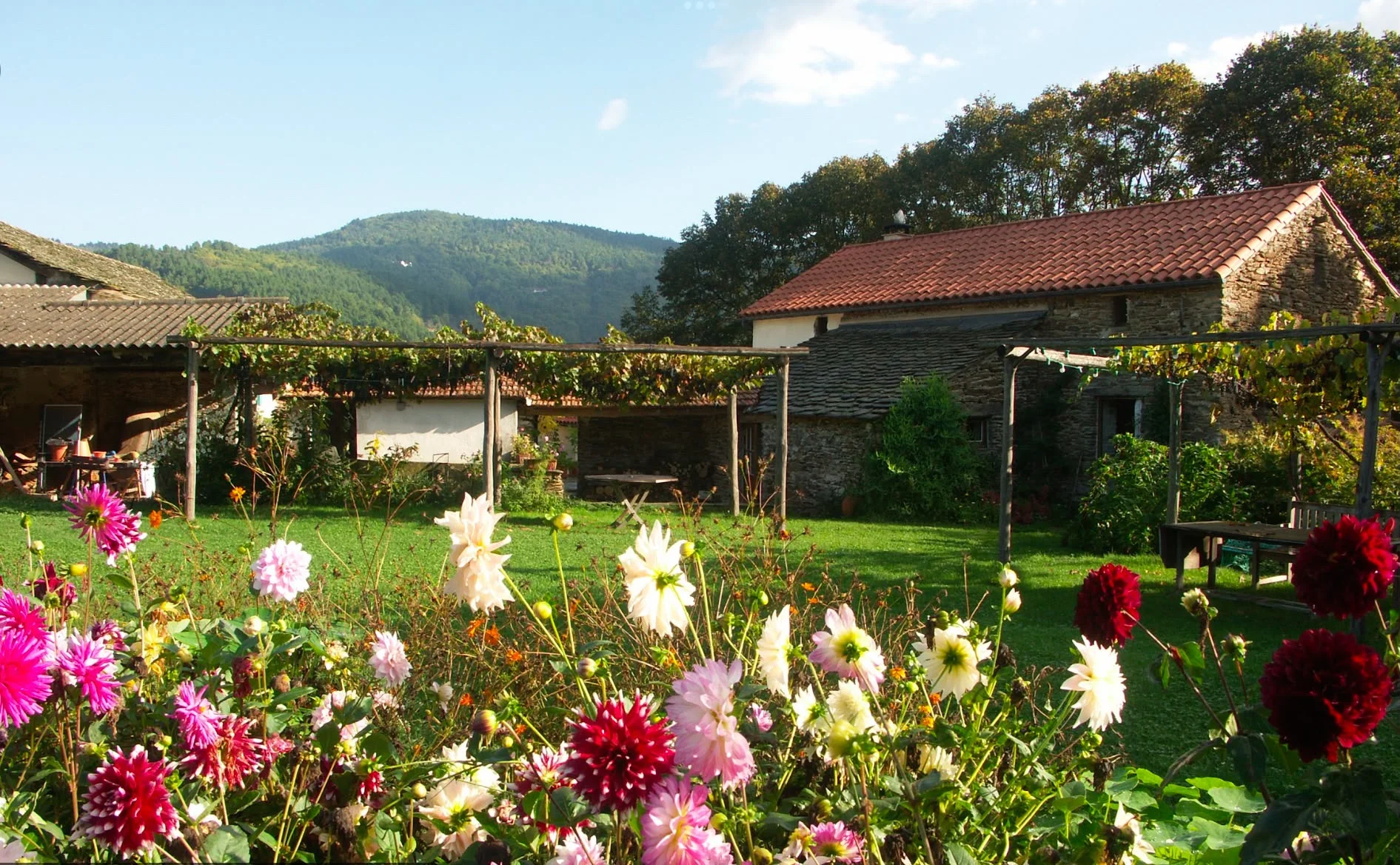 Extérieur du gîte de la Frégère Basse avec jardin - Cévennes