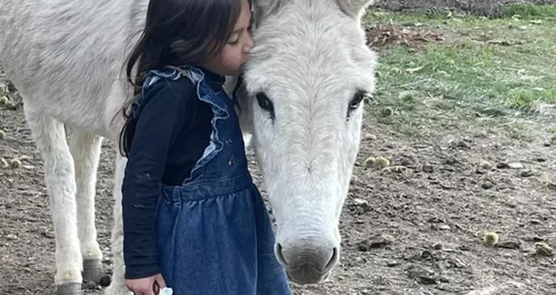 Enfant à dos d'âne dans les Cévennes