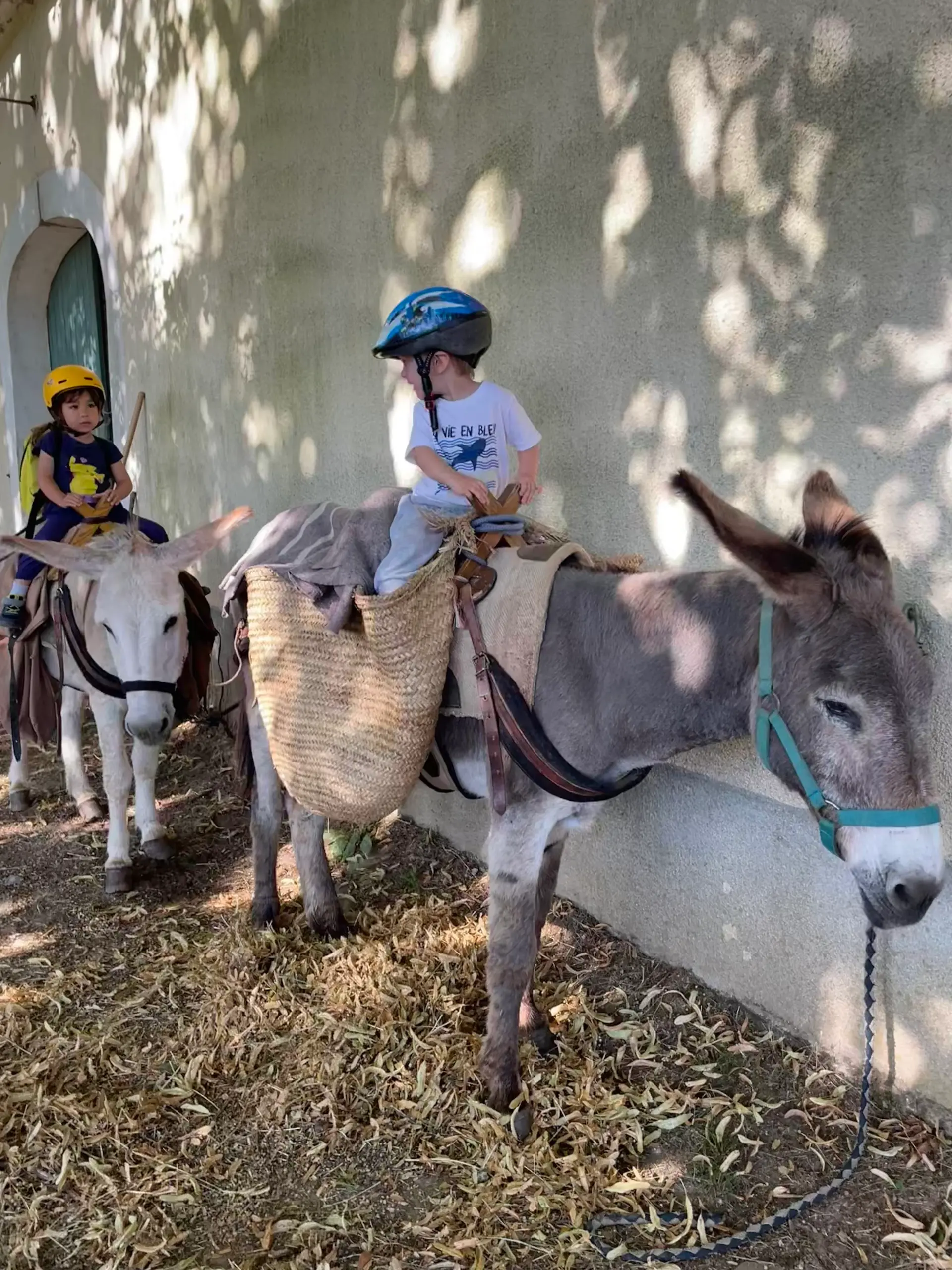 Enfants avec les ânes à la ferme de la Frégère Basse, Vallée Française, Cévennes