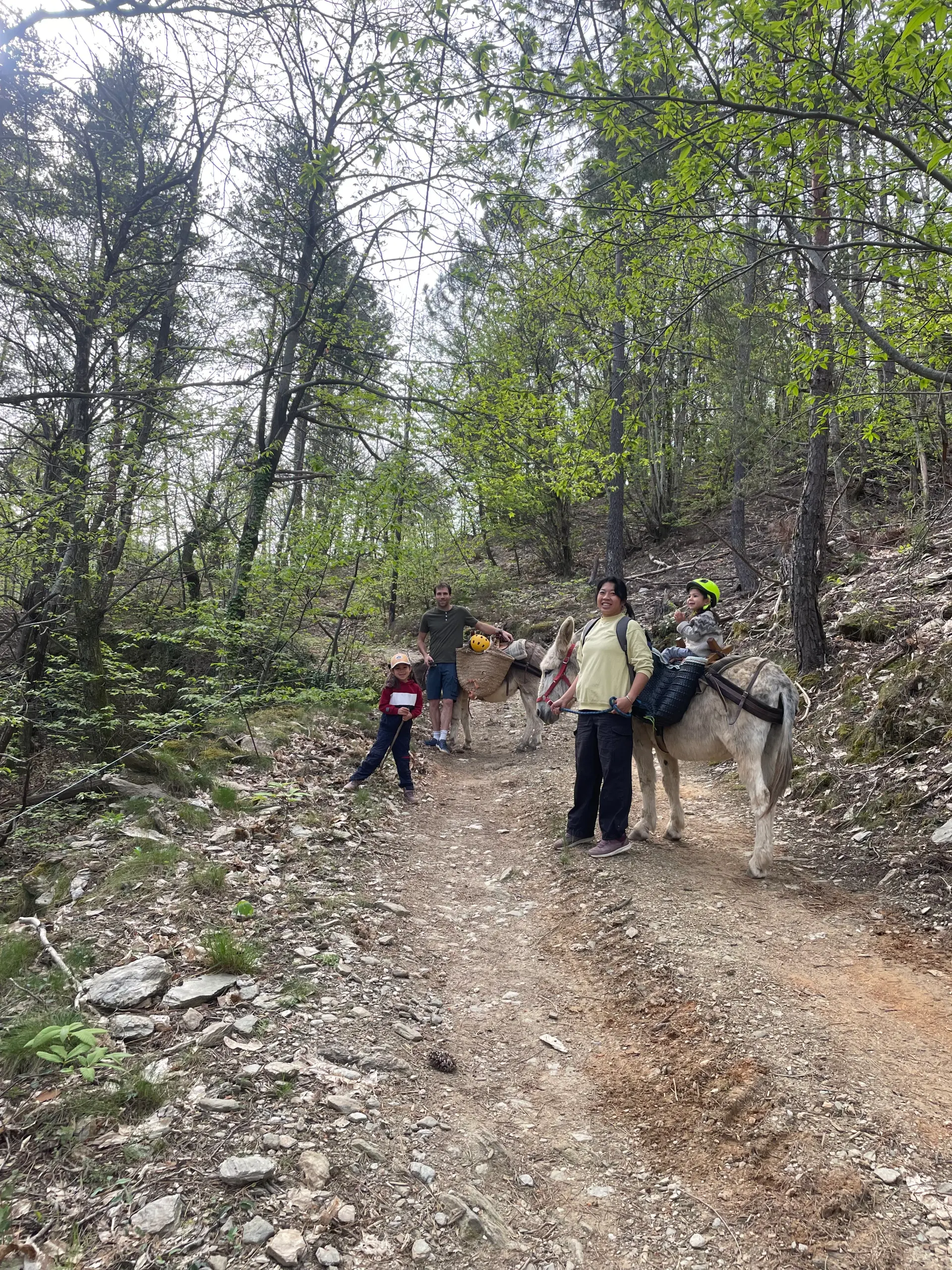 Guide accompagnant une randonnée avec âne de bât sur les chemins des Cévennes