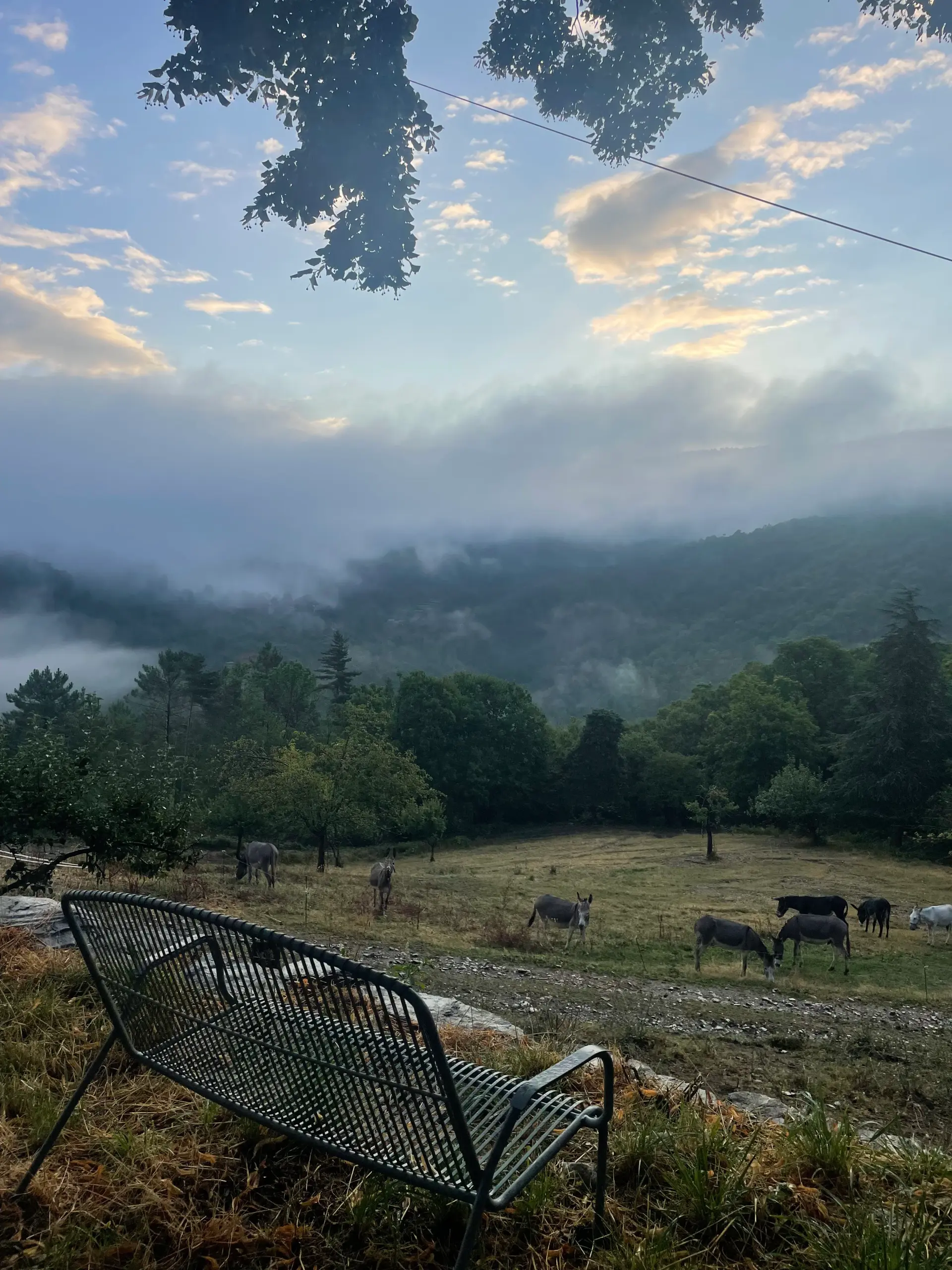 Arrivée au gîte de la Frégère Basse - premier jour du circuit âne Cévennes