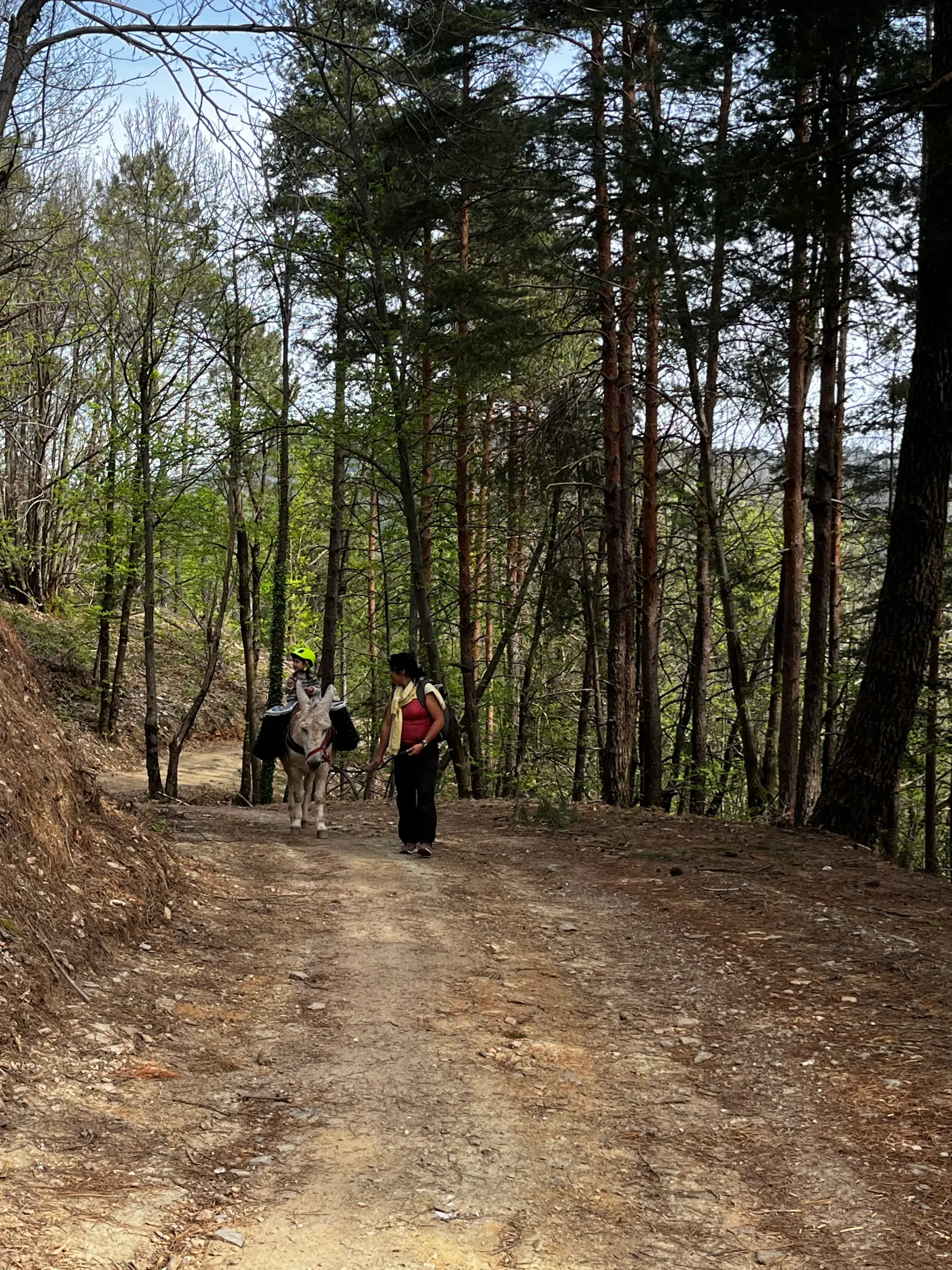 Retour vers la Frégère Basse - dernier jour de randonnée dans les Cévennes