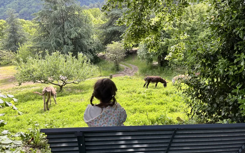 Circuit randonnée en famille dans les Cévennes