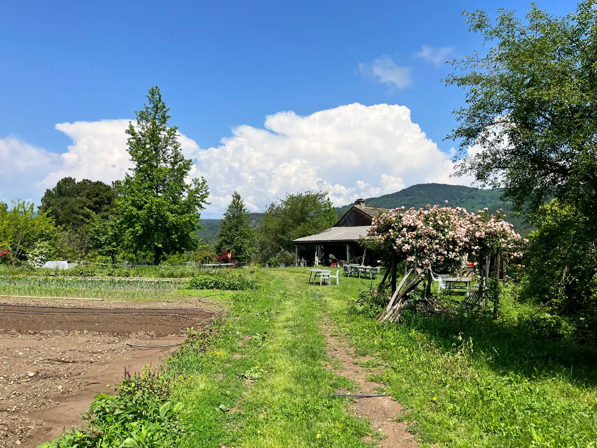 Gîtes et table d'hôtes dans les Cévennes - Ferme de la Frégère Basse